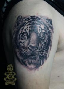 Realism Black and Grey Tiger done by Cysen.