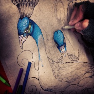 Peacock sketch in progress. Golden Iron Tattoo Studio is located on 363 Spadina  Ave Toronto ON, M5T 2G3. For inquires or to book an appointment please contact (416)-903-1624 during opening hours 11:00AM-8:00PM