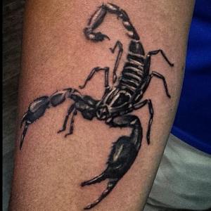 Scorpion Tattoo By Kristian  For all inquires check us out at http://goldenirontattoostudio.com/ https://www.tumblr.com/blog/goldenirontattoos
